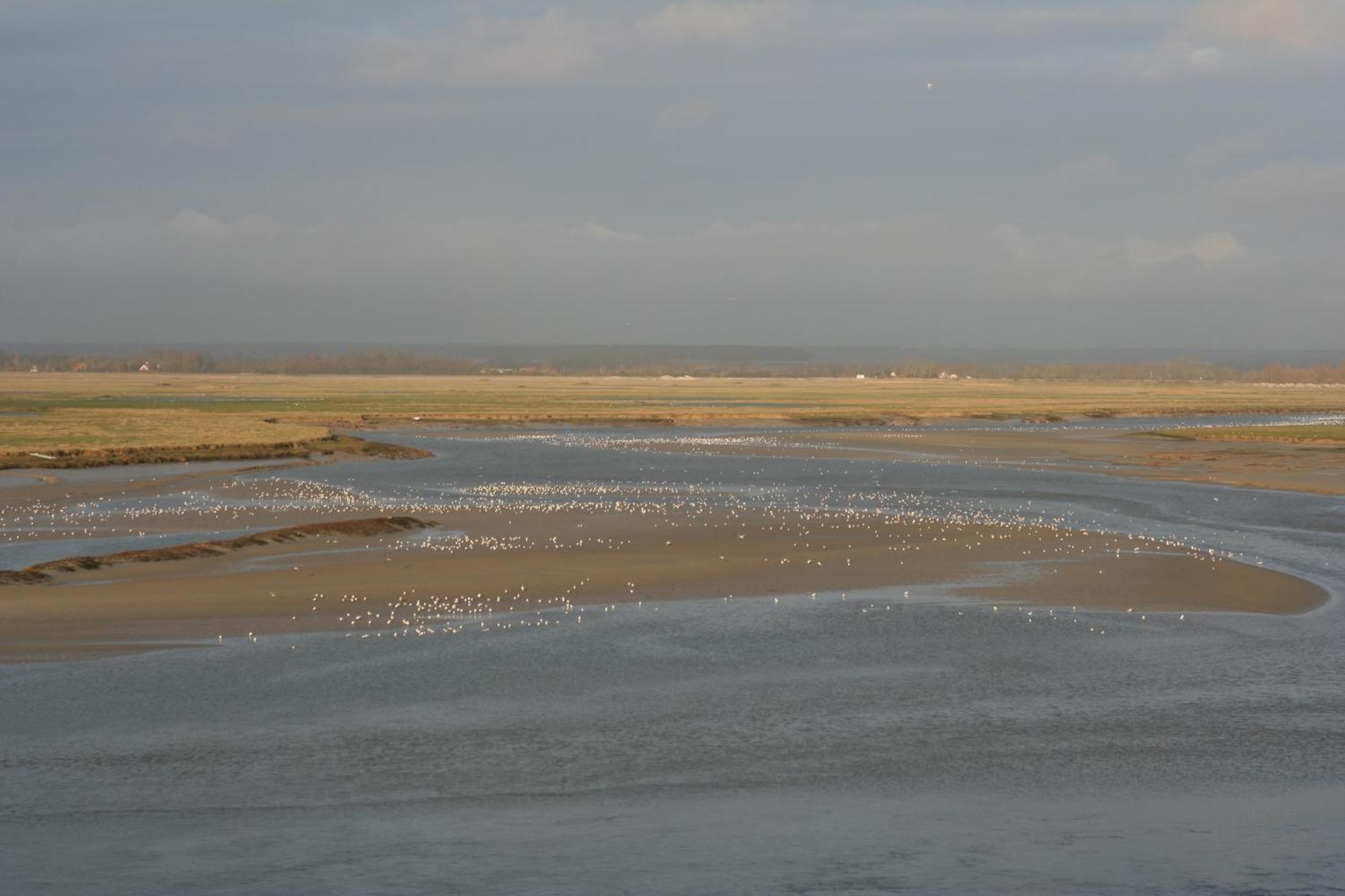 Picardia 3* Saint-Valery-sur-Somme